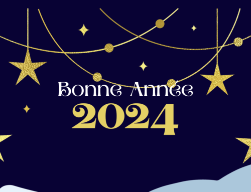 🌟 Bonne et heureuse Année 2024 🌟